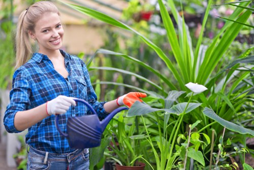 Healthy residential lawn care in North Harrow with neat grass and garden maintenance