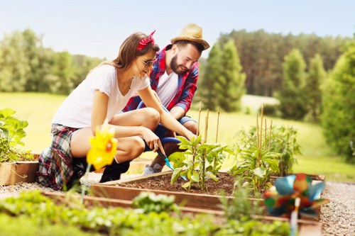 Tidy residential garden maintenance in North Harrow