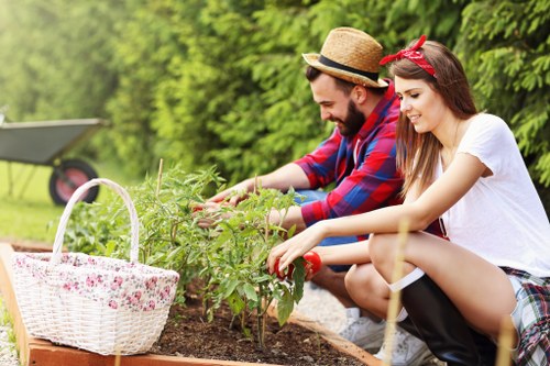 Modern garden layout and planting for North Harrow homes