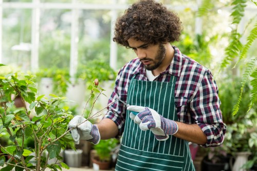 Autumn garden cleanup and lawn maintenance in North Harrow
