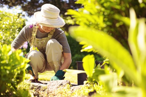 Gardening services in North Harrow for tidy lawns and healthy planting