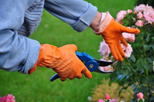 Gardening tools and prepared outdoor work area