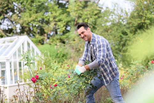 Professional hedge cutting in North Harrow with neat boundary shaping