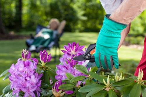 Local gardening services in North Harrow improving a residential outdoor space