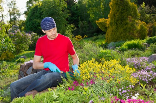 Professional planting and pruning in a North Harrow garden