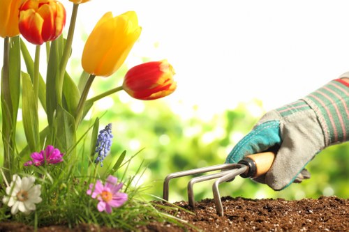 Sustainable garden recycling and waste separation in North Harrow