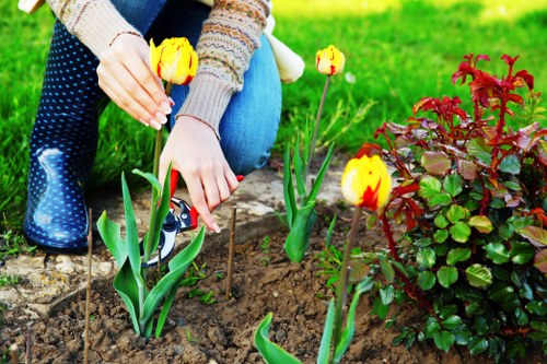 Gardeners in North Harrow delivering balanced and reliable garden care