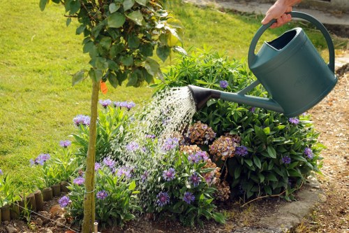 North Harrow garden maintenance with trimmed borders and lawn care