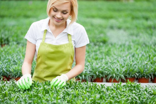 Free quote discussion for garden maintenance and clearance services in North Harrow