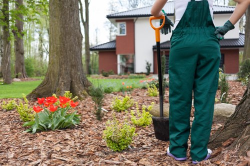 Seasonal garden upkeep by gardeners in North Harrow