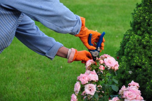 Payment and service agreement for gardening work