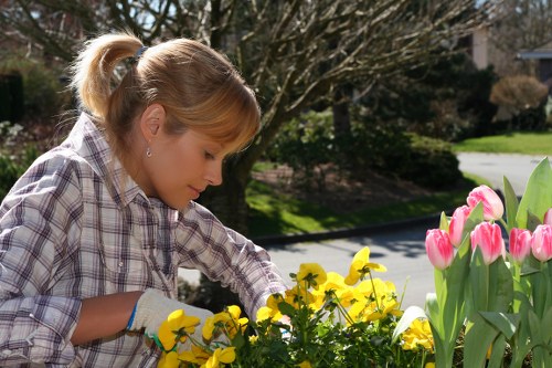 Senior gardener checking records as part of the complaint handling process