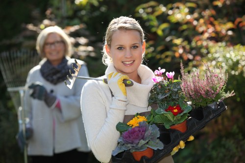 Seasonal garden maintenance in North Harrow with lawn and shrub care